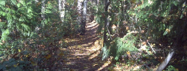Discovery Park Loop Trail is one of sEATtle.