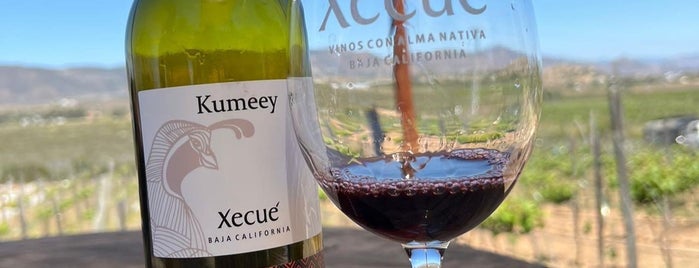 Xecue is one of Valle 🍷.