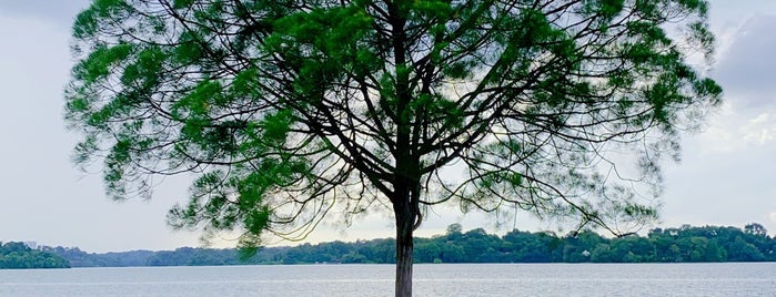 Upper Seletar Reservoir is one of Tempat yang Disukai James.