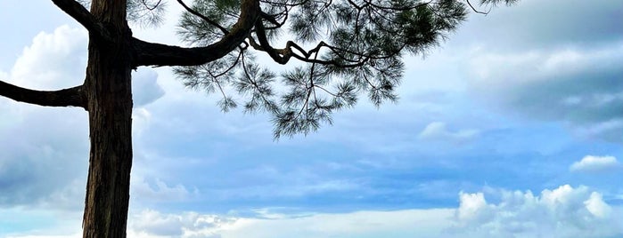 Upper Seletar Reservoir is one of Micheenli Guide: Peaceful sanctuaries in Singapore.