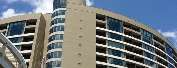 Bay Lake Tower at Disney's Contemporary Resort is one of WdW Resorts.