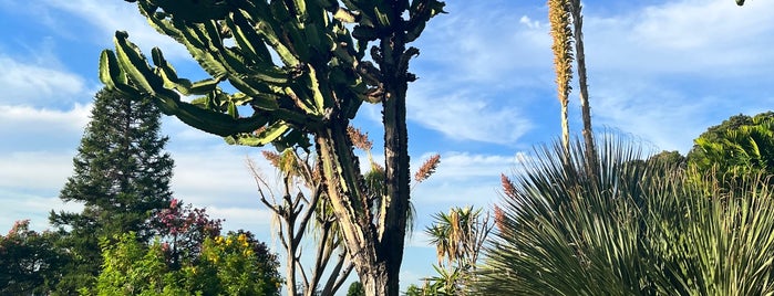 Parque de Santa Catarina is one of Lieux qui ont plu à Damon.