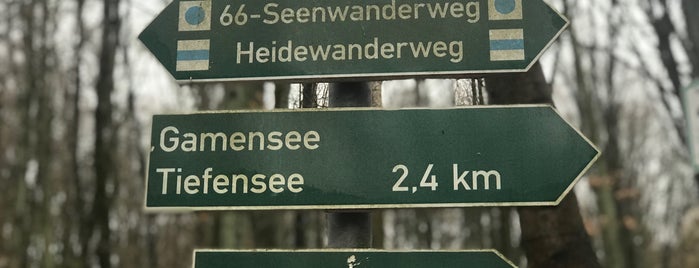 66-Seen-Wanderweg is one of Grün.
