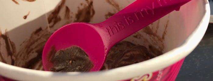 Menchie's is one of Tampa.
