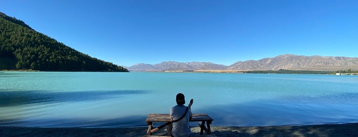 Lake Tekapo Regional Park is one of T. : понравившиеся места.