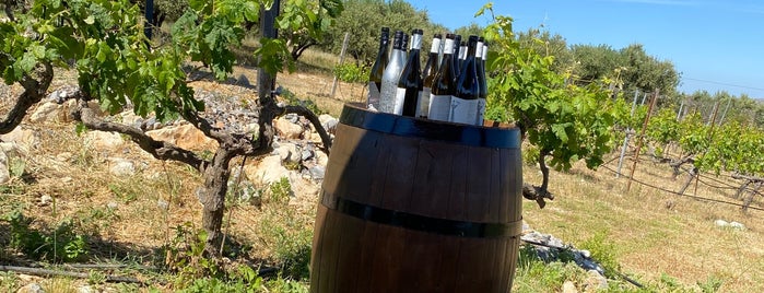 Lyrarakis Winery is one of Crete wineries.