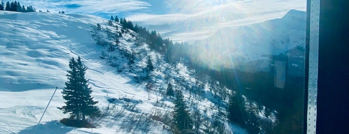 Kleine Scheidegg is one of Ram's to-do list around the world.