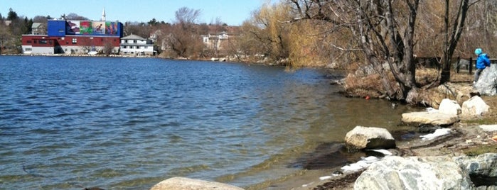 Spy Pond Park is one of Terence’s Liked Places.