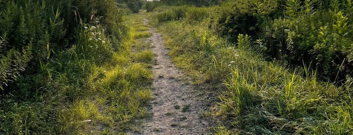 Spring Creek Park is one of Gateway National Recreation Area.