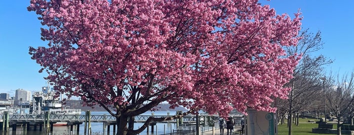 West Harlem Piers Park is one of Places To Visit.