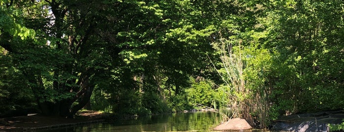 Tear Drop Island is one of Prospect Park.