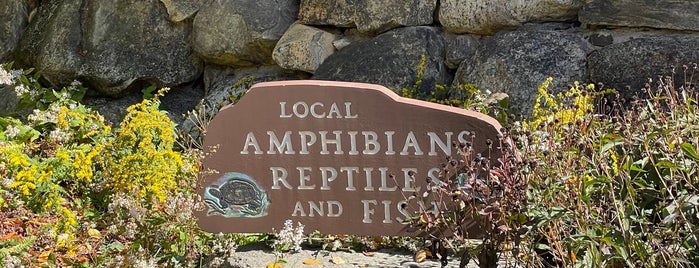 Local Reptiles Amphibians and Fish is one of Lieux qui ont plu à Lizzie.