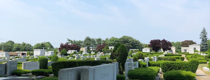 Beth David Cemetery is one of Lugares guardados de Gayla.