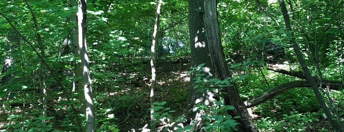 Quaker Hill is one of Prospect Park.