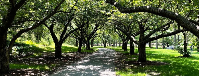 Cherry Walk is one of Brooklyn Botanic.