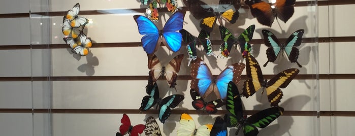 Butterfly World is one of Local Hot Spots.
