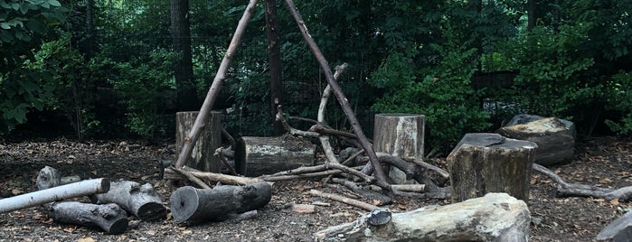 Nature Play is one of Prospect Park.