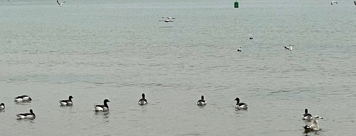 Coney Island Creek Park is one of SHOP–EC.