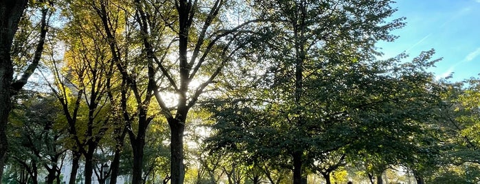 Sakura Park is one of NYC.
