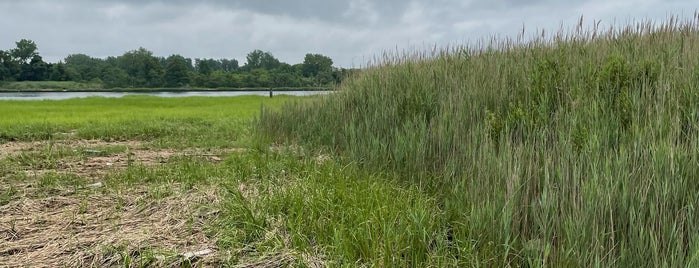 Paerdegat Basin Ecology Park is one of NYC Outdoors.