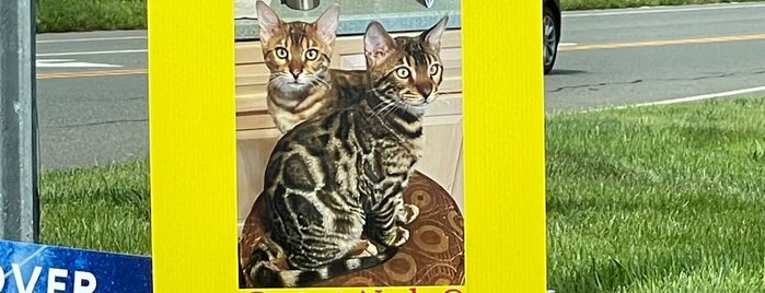 Sparta is one of Julie's things to do.