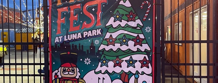 Luna Park is one of Summer Outdoor Activities in NYC.