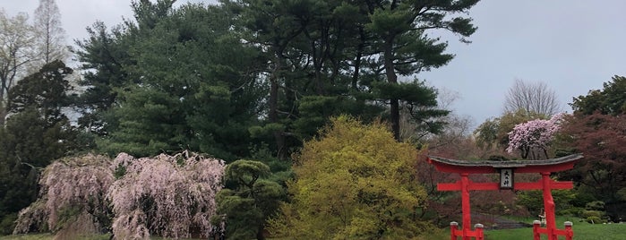 Japanese Garden is one of Brooklyn Botanic.