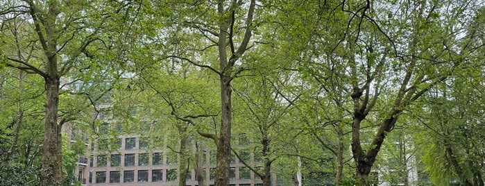 St John's Gardens is one of The 15 Best Places for Chess in London.