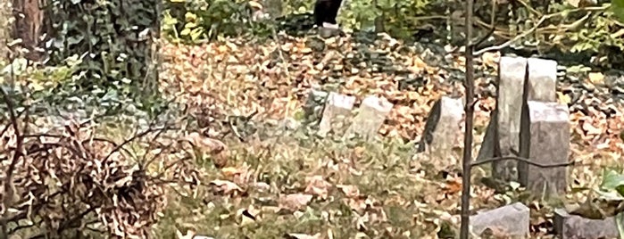 Friends Cemetery is one of Atlas Obscura Brooklyn.