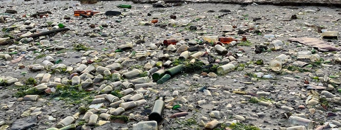 Dead Horse Beach is one of PLACES.