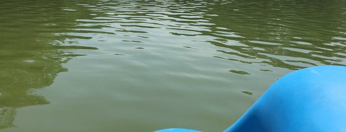 Prospect Park Lake is one of South Slope Staycation.