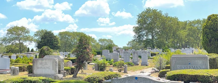 Beth David Cemetery is one of NYC DOs.