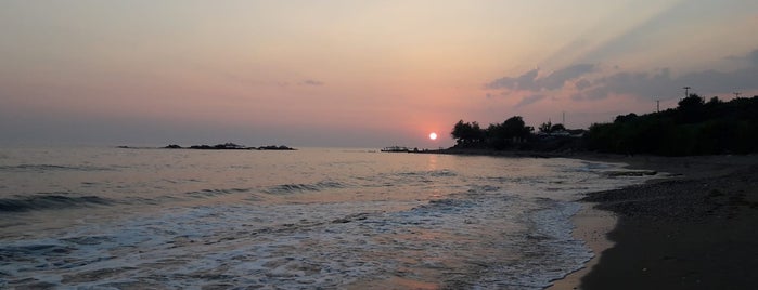 Seki Koyu Plaji is one of Tempat yang Disukai Özcan Emlak İnş 👍.