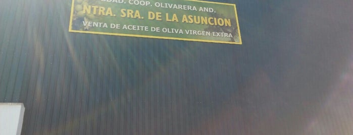 S.C.A OLIVARERA NTRA. SRA DE LA ASUNCION is one of Lugares favoritos de Ángel.