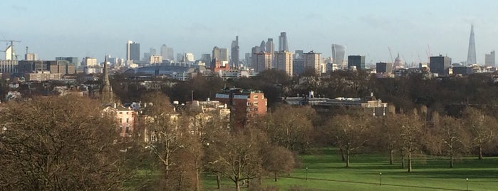 Primrose Hill is one of London's Parks and Gardens.