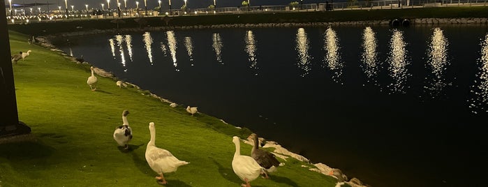 Duck Lake is one of الخبر.