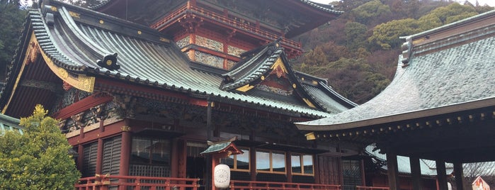 Shizuoka Sengen Shrine is one of 「どうする家康」ゆかりのスポット.