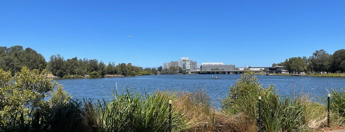 Cahill Park is one of Locais curtidos por Karol.