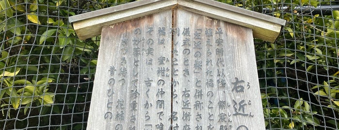 平安神宮 右近の橘 is one of Great Outdoor.