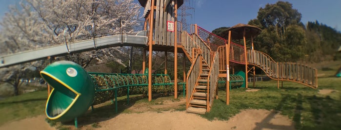 宍道ふるさと森林公園 is one of Camp.