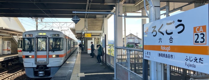 Rokugō Station is one of [todo] Shizuoka.