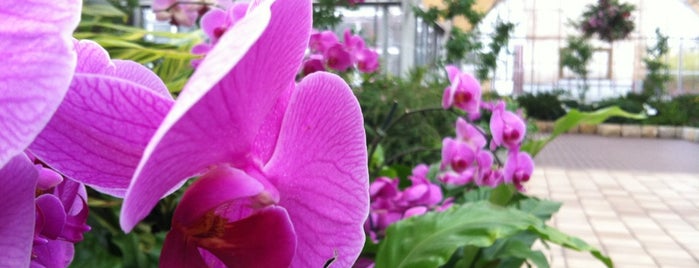 Franklin Park Conservatory and Botanical Gardens is one of Columbus.