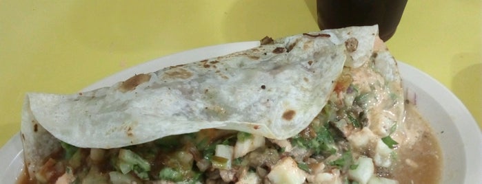 Tacos El Potro Loco is one of GTO.