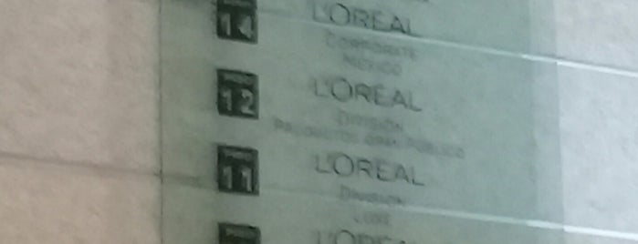 L'Oréal is one of INSURGENTES.