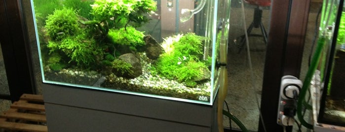 Sisaiko Aqua is one of Fish Aquariums.