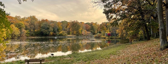 Halsey Pond is one of Dobbs Ferry Metropolitan Area.
