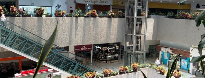 Plaza Bosques is one of CTROS COMERCIALES.
