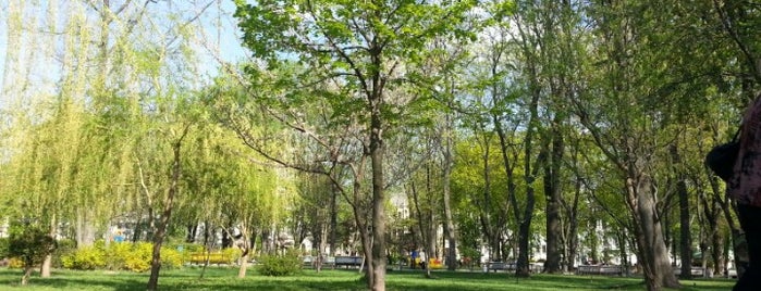 Shevchenko Park is one of Kiev 08.13.