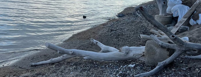 Surfer Caravan Beach is one of Ortakent.