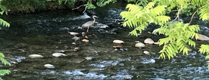 Pigeon Forge Riverwalk is one of Janさんのお気に入りスポット.